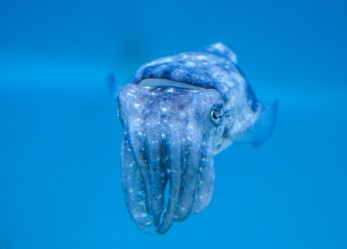 Must Read Money Stories For Tuesday, April 28