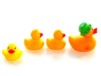 rubber ducks all in a row 