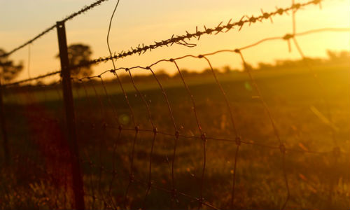 he Trump administration is considering a 20 percent tariff on Mexican imports to pay for a wall along the southern American border.
