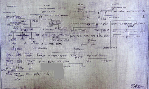 Even genealogical records can provide great clues for business stories. ("Jenkins Genealogy 1939-40, A Sketch of Forebears" by John M. via Flicker, CC BY-SA 2.0)