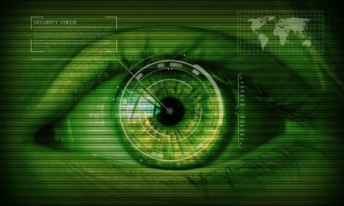Iris scan is one of several technologies used in biometric authentication. (Photo by TBIT via Pexels, CC0) 