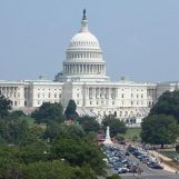 Check a Subject’s Political Connections