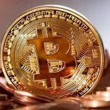 The Business of Cryptocurrencies