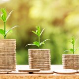 ProPublica’s “Secret IRS Files” Reignites Conversation on US Income Tax Reform