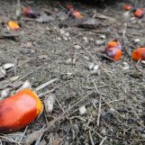 The Modern-Day Investigative Duo Inspiring a Need for Change