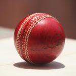 A single cricket ball